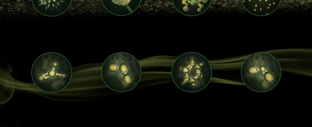 Des particules et des gaz potentiellement nocifs sont présents dans toute la maison. Les purificateurs Dyson Pure Cool les détectent.